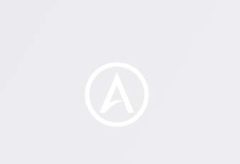American LegalNet