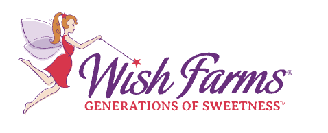 Senior Full-Stack Software Developer