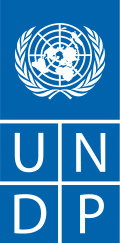 AI engineer/Consultant