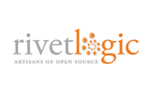 Software Developer