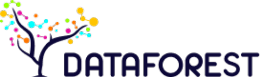 Data Engineer