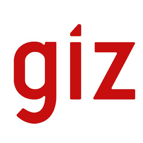 GIZ logo