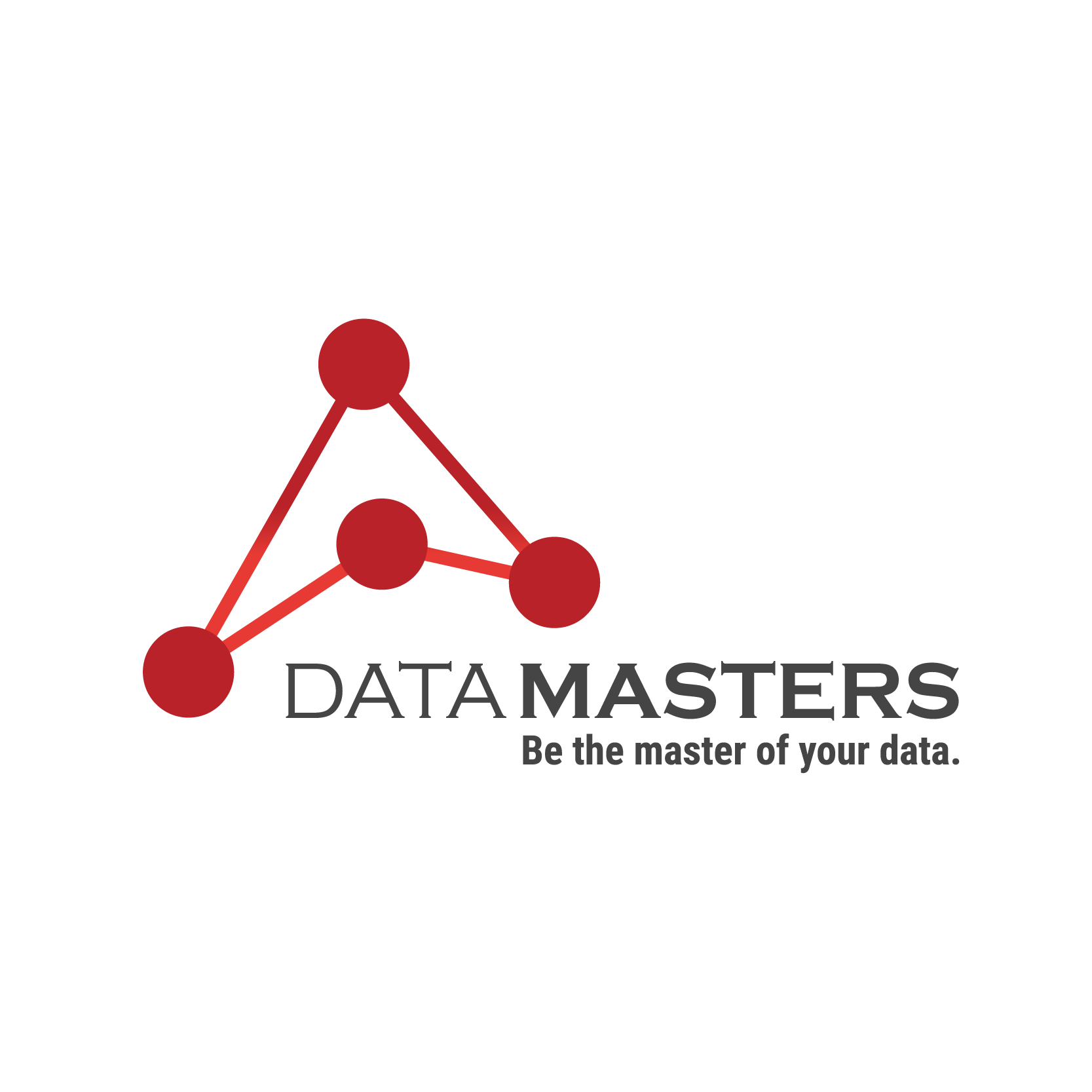 Data Masters's logo