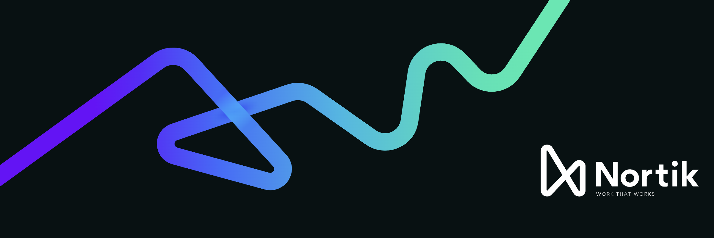 Nortik Software Solutions banner