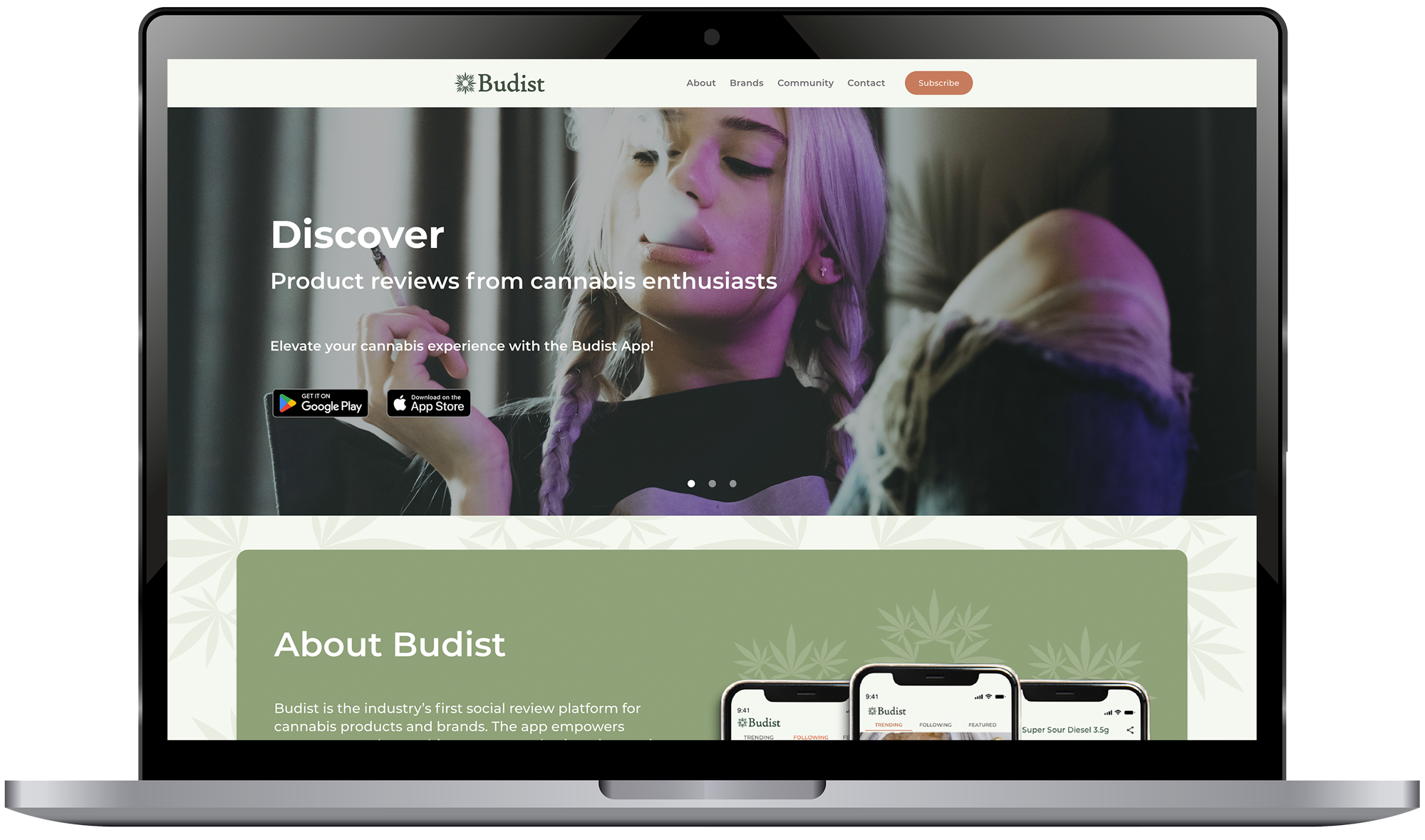 Taking Budist From Idea to a Launch-Ready Cannabis Review Platform