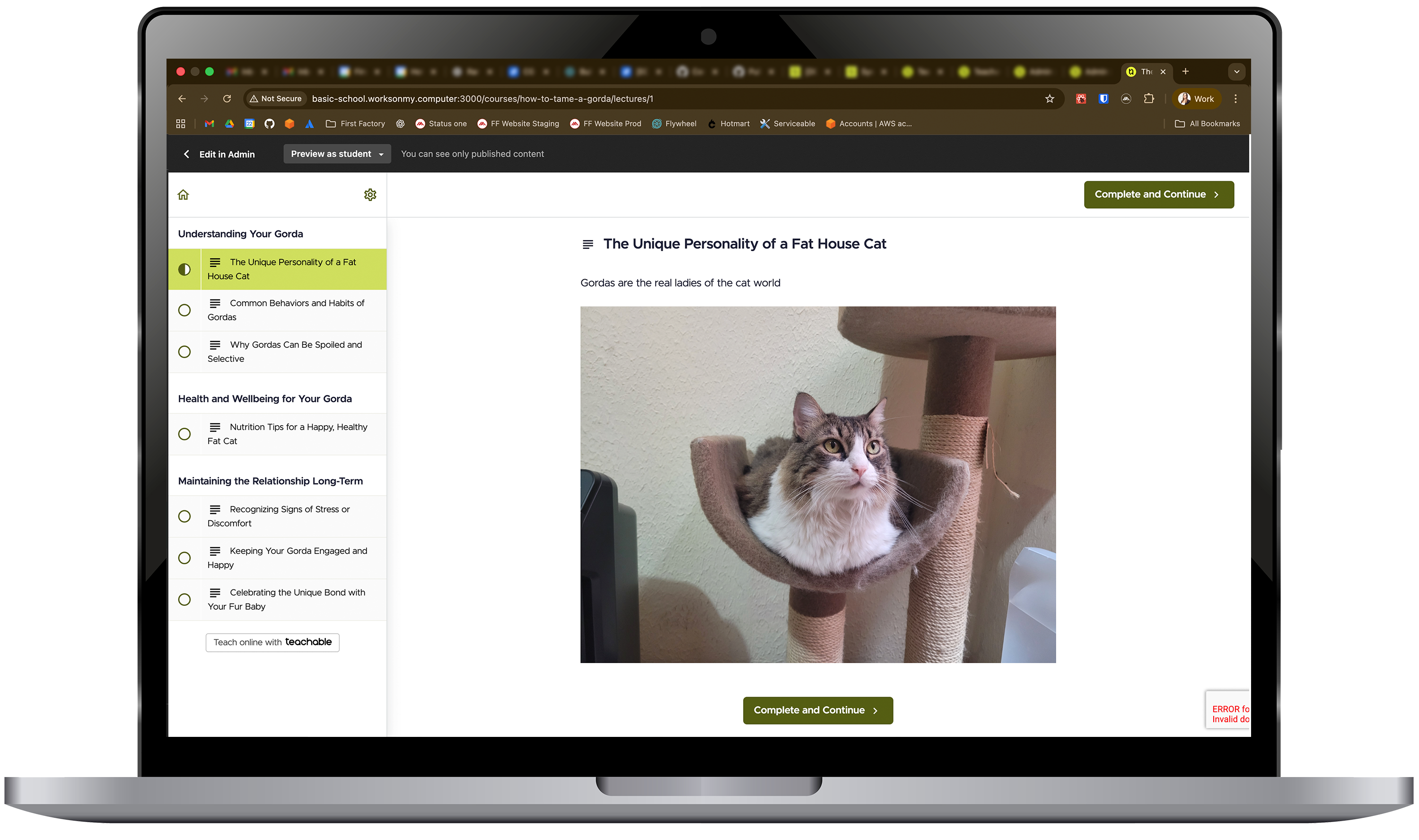 Migrating Teachable's Front End While Scaling Global Monetization case study image 1 for First Factory